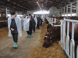 В Омской области построен крупный животноводческий комплекс на 480 голов КРС