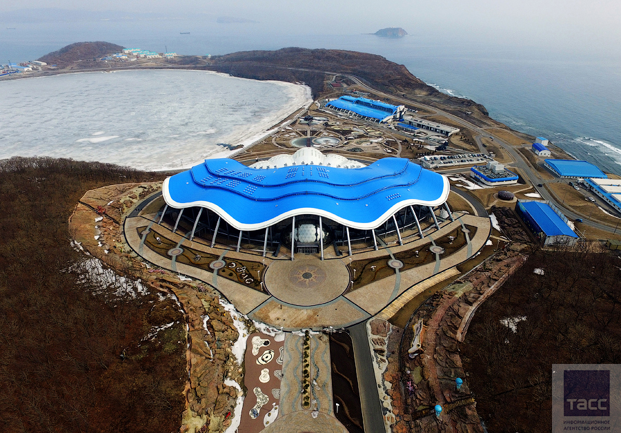 Океанариум на острове Русском откроется в июне 2016 года