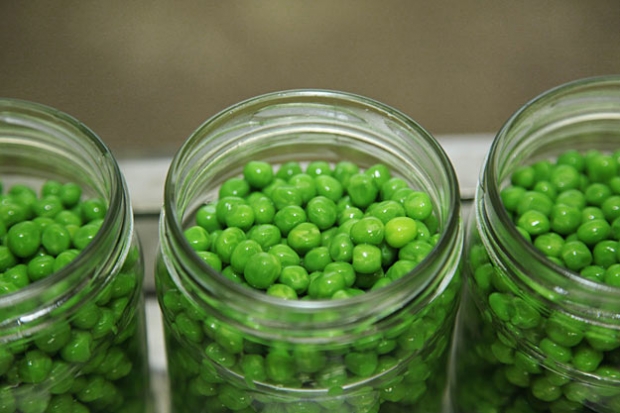 Консервные заводы Кубани произвели более 150 миллионов банок зеленого горошка