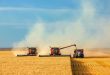 Сбор зерна в России превысил 100 млн тонн