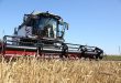 Установлен рекорд по сбору пшеницы в России — 66.8 млн тонн