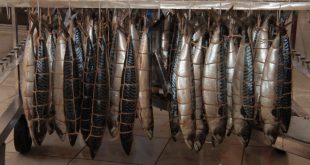 Проект по переработке рыбы реализовали в Тюменской области