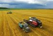 РФ в этом сельхозгоду останется мировым лидером по экспорту пшеницы