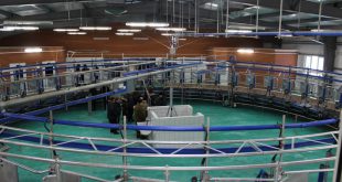 Первая очередь нового молочного комплекса запущена в Коми