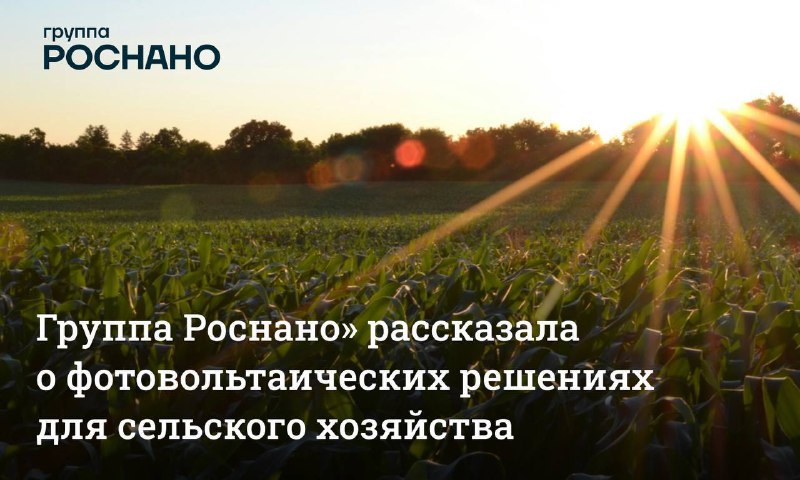 Инновации в энергетике: переход на солнечные технологии в агросекторе