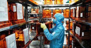 Импортозамещение в России: достижения на январь 2025 года
