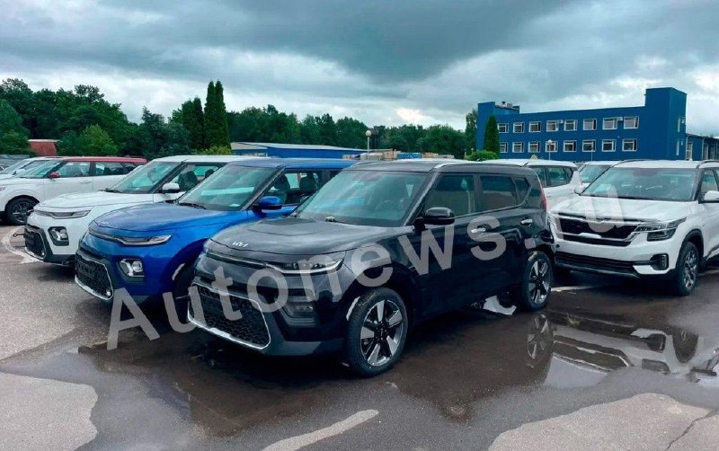 Почему Kia не вернется в Россию в 2025 году