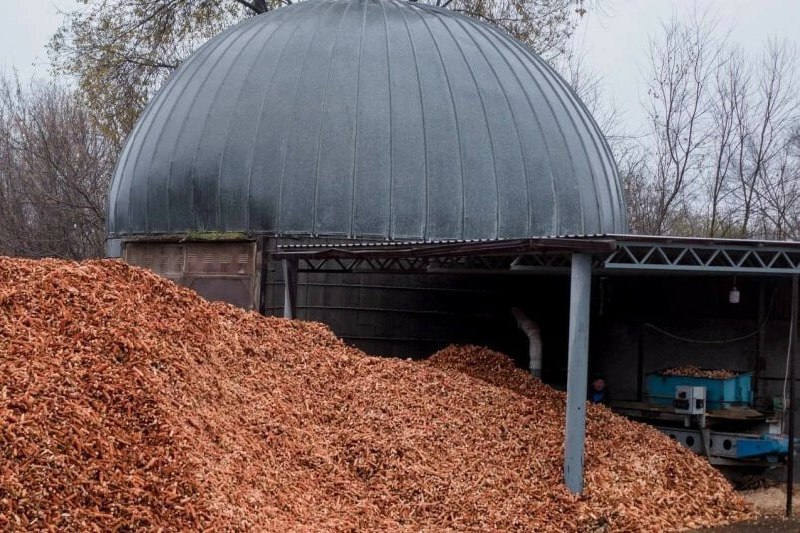 На Ставрополье начали выпускать топливные пеллеты из кукурузных отходов
