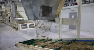 Запуск производства переработки льна и конопли в Нижегородской области