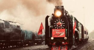 Туляки отмечают 80-летие Победы в акции «Поезд Памяти»