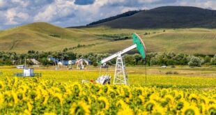 Татнефть внедряет новый климатический проект для уменьшения экологического воздействия