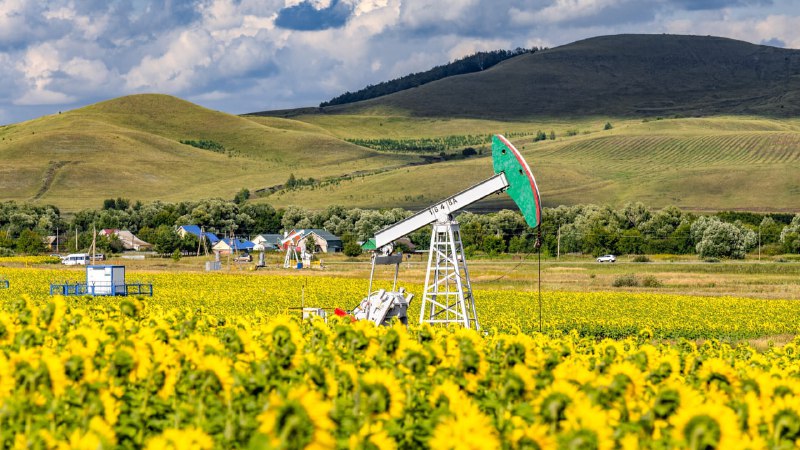 Татнефть внедряет новый климатический проект для уменьшения экологического воздействия