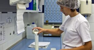 Российские ученые создали отечественную закваску для йогуртов на основе творожной сыворотки