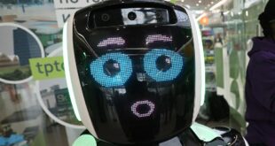 Ограничения по локализации робототехники в России продлены до конца года