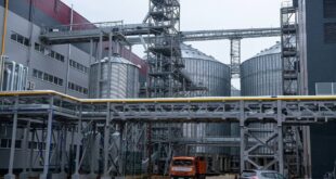 В России строится крупнейший завод по производству подсолнечного масла