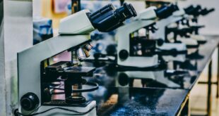 Искусственный интеллект ускоряет разработку сверхпрочных материалов на базе бористых соединений