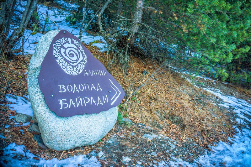 Всемирный день окружающей среды: инициативы и проекты по охране природы