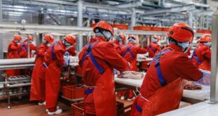 В Рязанской области запущено производство мясных полуфабрикатов с созданием новых рабочих мест