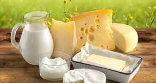 Рост производства молочных продуктов в России по итогам первого квартала 2025 года