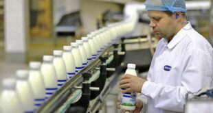 Российские молочные продукты на рынке ОАЭ
