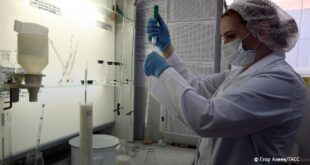 Создание тест-системы для выявления бруцеллеза в фермерских продуктах