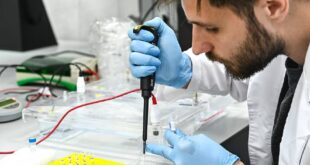 Создание биосенсора для изучения взаимодействий наночастиц и молекул ДНК