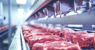 800 миллионов рублей инвестиций в мясопереработку в Смоленской области
