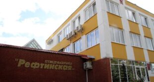 Рефтинская птицефабрика начинает производство в Китае