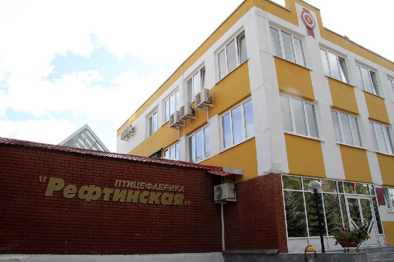 Рефтинская птицефабрика начинает производство в Китае