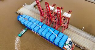 Увеличение контейнерных перевозок FESCO между Индией, ОАЭ и Новороссийском