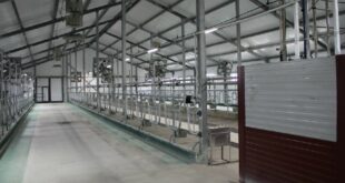 Открытие нового коровника в Тюменской области