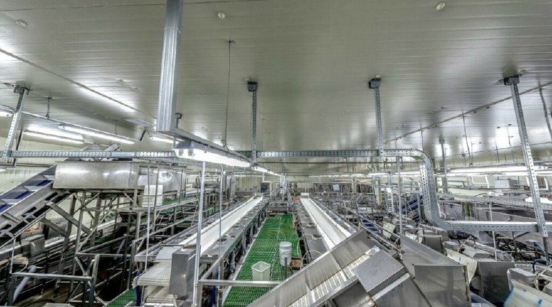 Открытие производства рыбоперерабатывающего оборудования и медицинских тележек на Дальнем Востоке