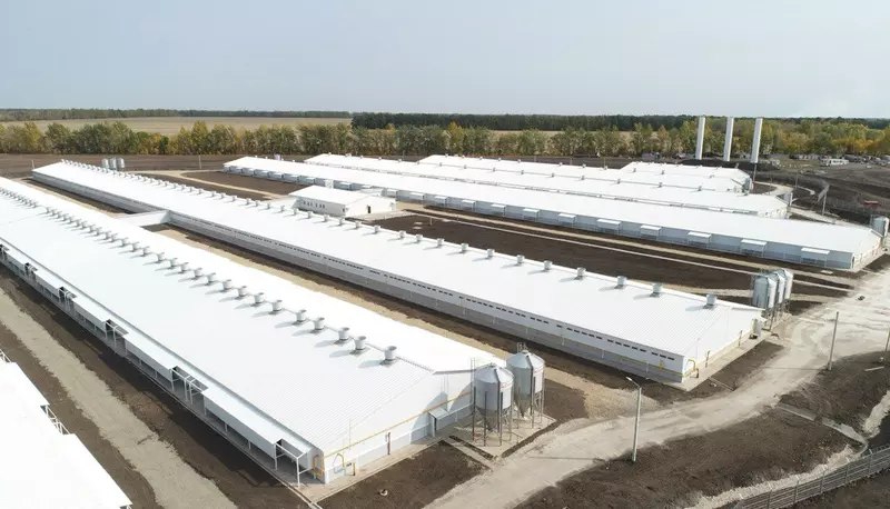 Открытие новых предприятий АПК и пищевой промышленности в июле-августе 2025 года