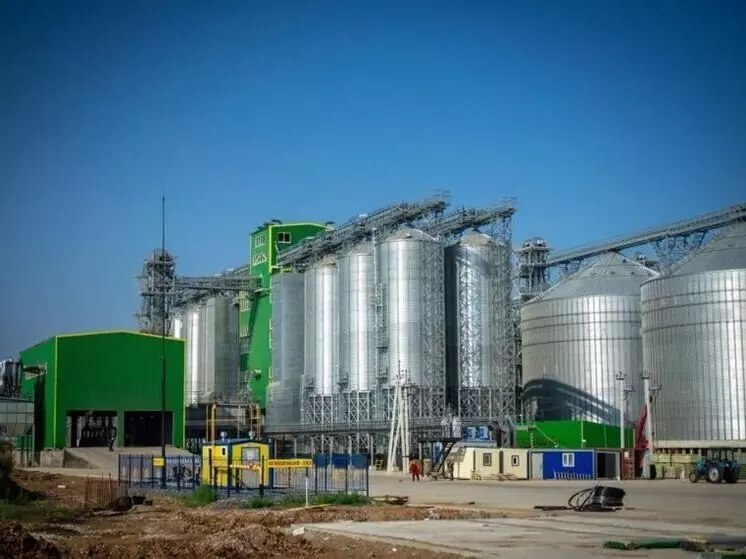 Открытие новых предприятий АПК и пищевой промышленности в июле-августе 2025 года