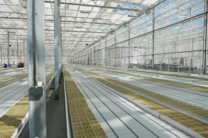 Открытие новых предприятий АПК и пищевой промышленности в июле-августе 2025 года