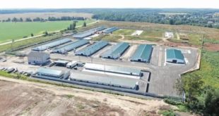 Открытие нового репродуктора в Шаховской области