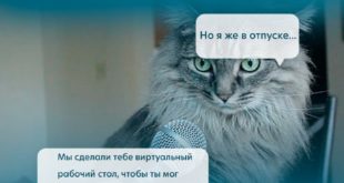 День программиста: как сделать жизнь айтишников лучше