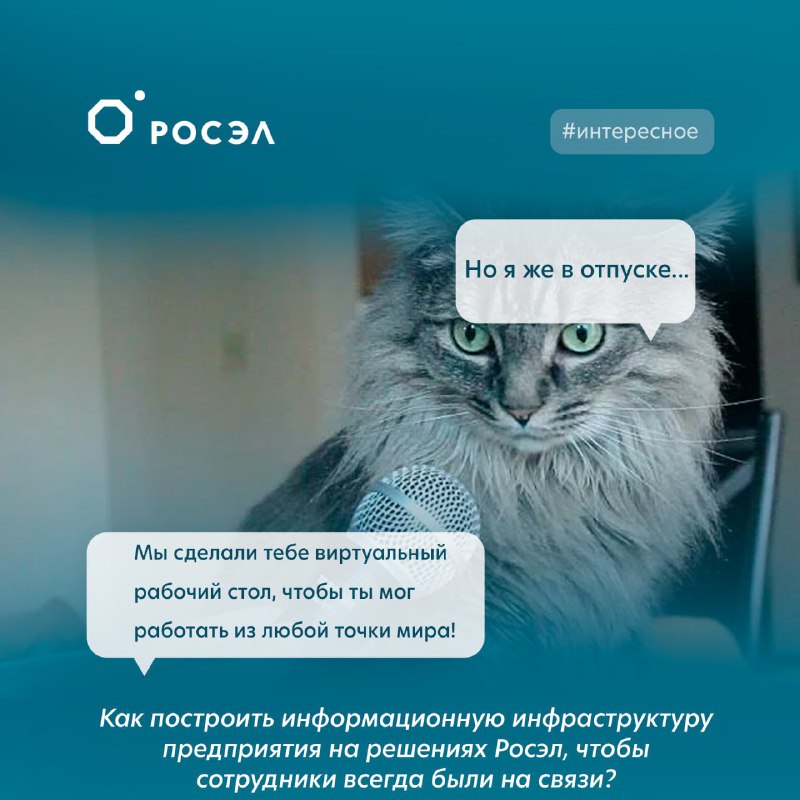 День программиста: как сделать жизнь айтишников лучше