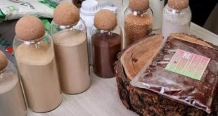 В Благовещенске открыт новый комплекс по производству дигидрокверцетина