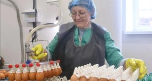 Модернизация птицефабрики в Смоленской области на 950 миллионов рублей