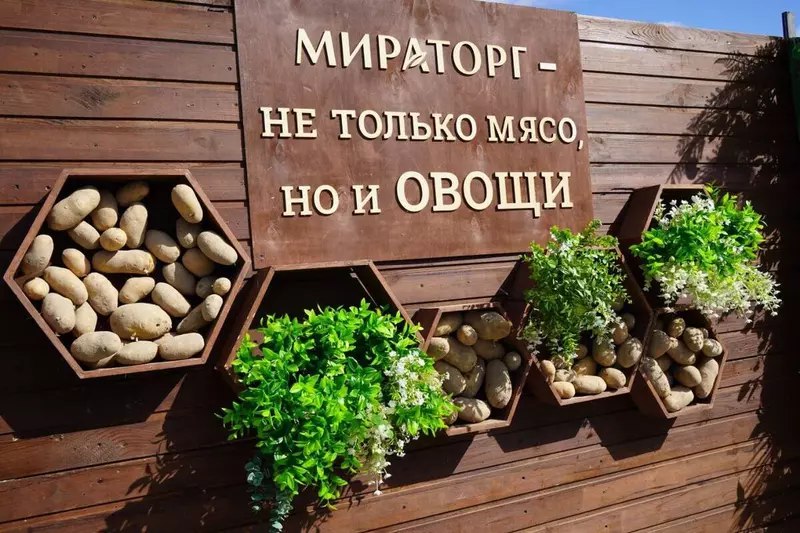 Открытие новых предприятий АПК и пищевой промышленности в сентябре 2025 года