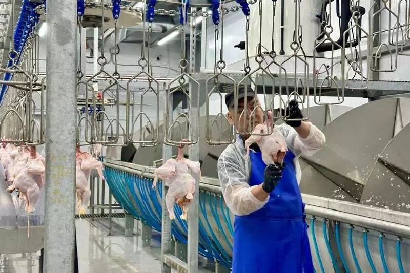 Открытие новых предприятий АПК и пищевой промышленности в сентябре 2025 года