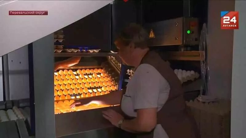 Открытие новых предприятий АПК и пищевой промышленности в сентябре 2025 года