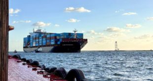 Рост контейнерных перевозок FESCO между Китаем, Индией и Санкт-Петербургом
