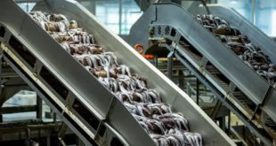 В Томске открыт рыбный логистический центр