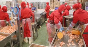 Открытие нового цеха белорусского производителя в Подмосковье