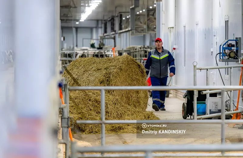 Открытие крупнейшей молочной фермы в Томской области
