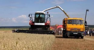 Рекордный урожай зерна в Челябинской области