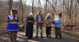 Создание новой экотропы в заповеднике «Кедровая падь»
