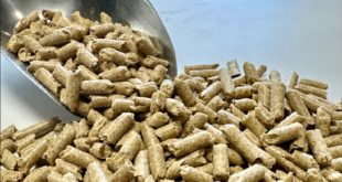 Российские корма для животных начали экспорт в Кыргызстан и Беларусь